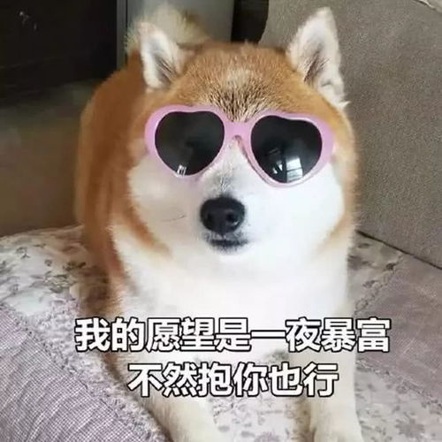 幽默段子笑话表姐分手了,向家里要了一大笔钱,说是想补偿男友