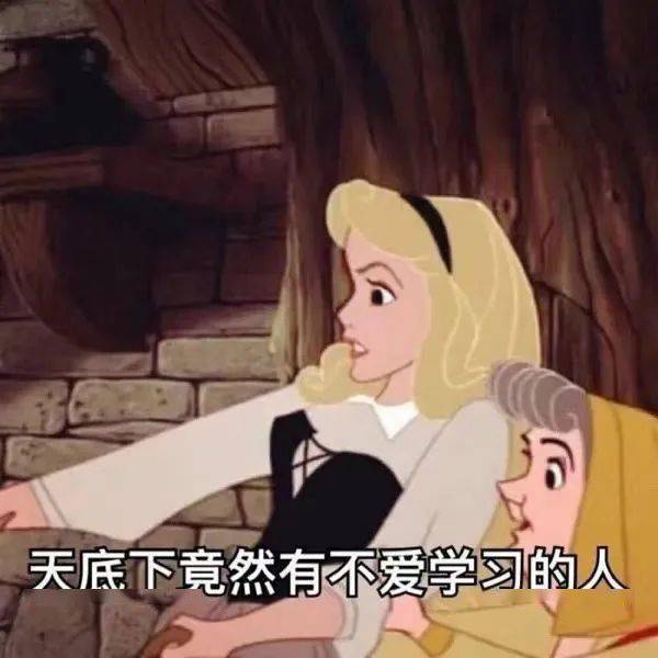 人物丨乘风破浪的姐姐热播,这些姐姐更值得一个热搜,可以直接用在作文中