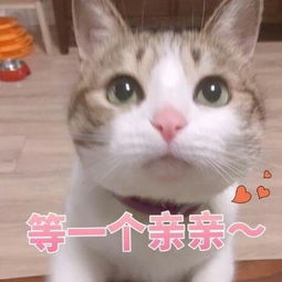 从大学入学到现在你有什么感触