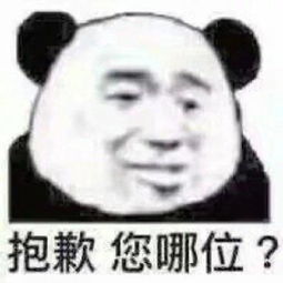 熊猫头表情包抱歉,您哪位