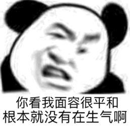 沙雕熊猫头斗图表情包
