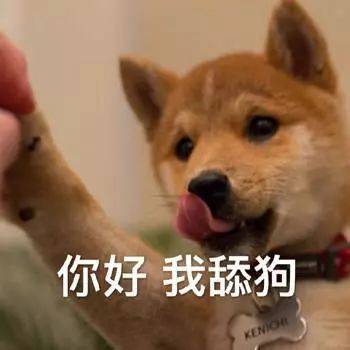 今日份gif舔狗表情包我心爱的狗东西在吗