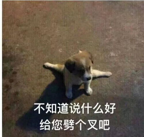 恋爱中遭到父母反对,但又不能破釜沉舟怎么办