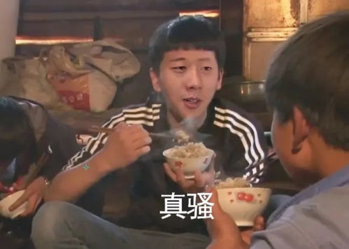 近期热门斗图表情包求你了写作业去吧