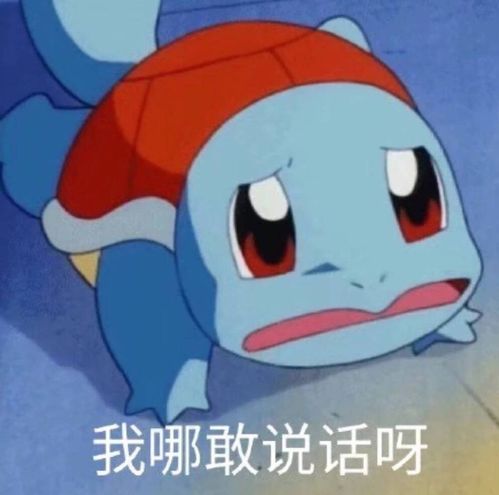 杰尼龟收到敬礼表情包