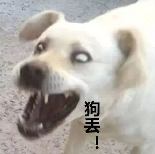 南宁一男子掐死怀孕女友,一尸两命,尸体高度腐烂后才被发现