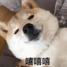 惠州的这个山中温泉,去过的人都说有种穿越的感觉