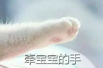 对不起,青白江人的生活里没有佛系撸串
