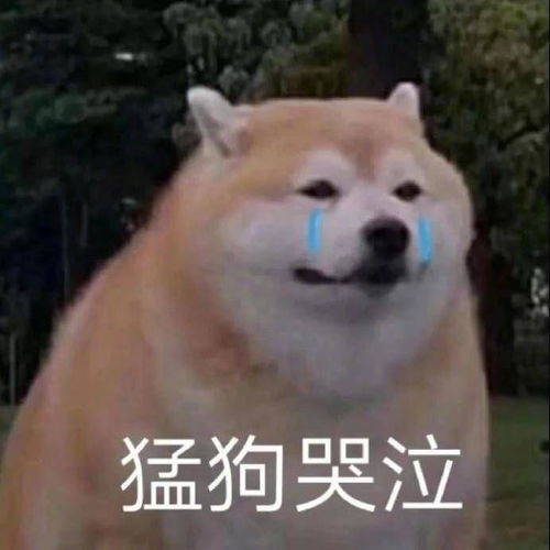 是不是每个人都很有目标
