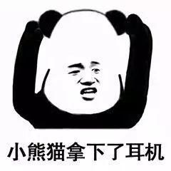 vue表情包小熊猫