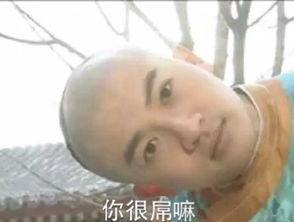 老六专属表情包五阿哥