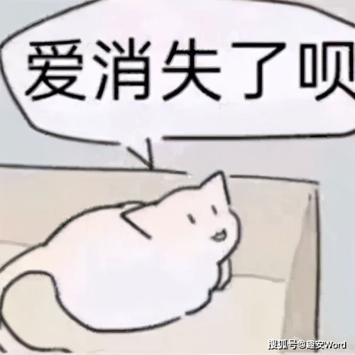 当代青年的生活丨笑话十刻