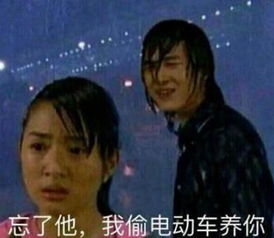 我偷电瓶车养你什么梗我偷电瓶车养你表情包