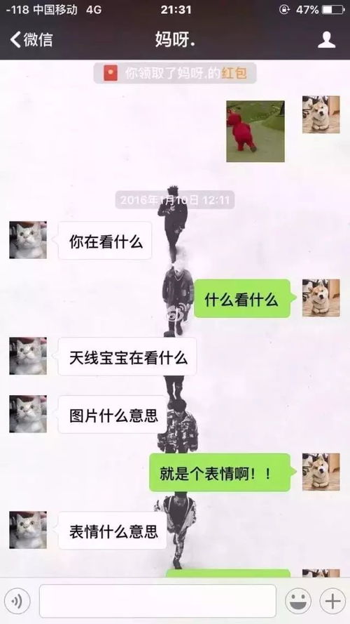 爸妈,我到底做错了什么