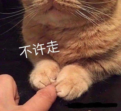 搞笑聊天表情包i真是越想越生气