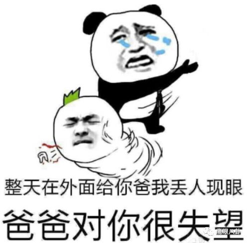 与玛丽苏势不两立的鹰叔正在追人间至味是清欢