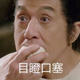 没想到你是这样的成龙大叔