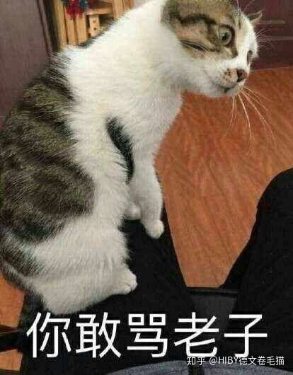 猫应不应该跟主人睡床上