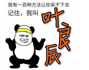 叶良辰宝宝表情包