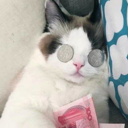 爱的魔法cover金莎