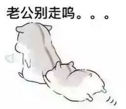 可爱仓鼠夫妇表情包