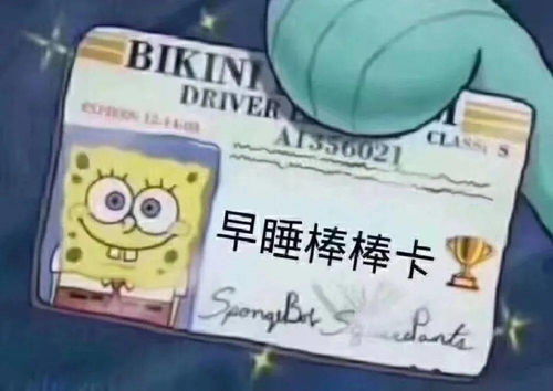 睡睡睡就知道睡表情包守夜