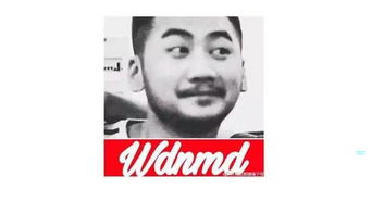 pdd骚男茄子,盘点各大主播的口头禅,每一句都很上头