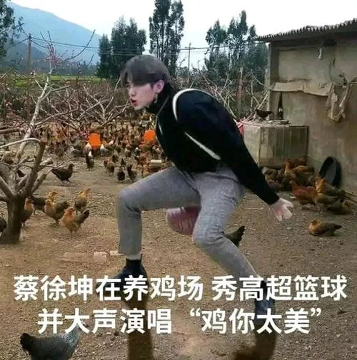 坤坤鸡你太美表情包下载坤坤鸡你太美表情包动图头像图片大全免费下载v1.0安族软件网