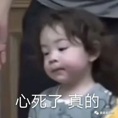 这行为也太过分了吧