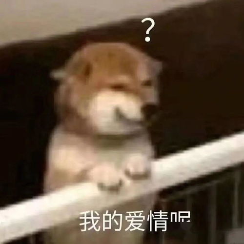 爸妈太恩爱是什么的体验成长的每一天都要经受狗粮暴击
