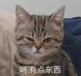 皮条客vs外围女一对假脸姐妹花竟为了1000块撕出这么多猛料