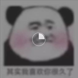 明星表情包铁打的身体,磁铁打的床