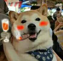 表情包干杯