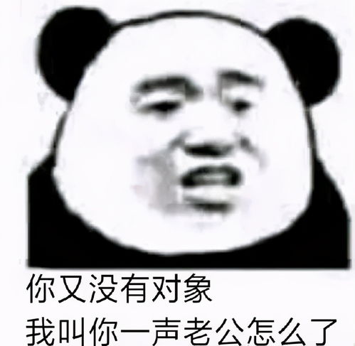 熊猫头表情包小哥哥,你又没有对象,我叫你一声老公怎么了