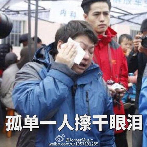 大半夜看韩红表情包笑出声