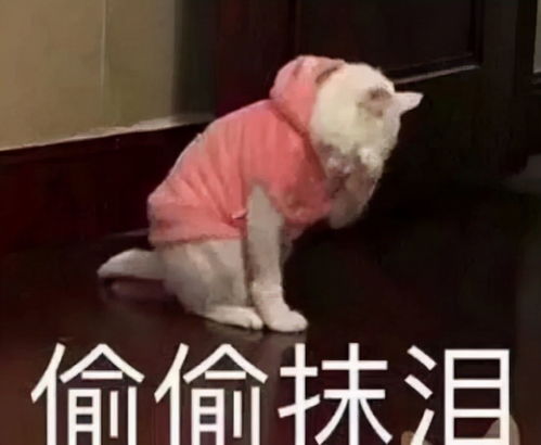dnf堇青石价格一落千丈,搬砖党一个角色损失10万这也太惨了