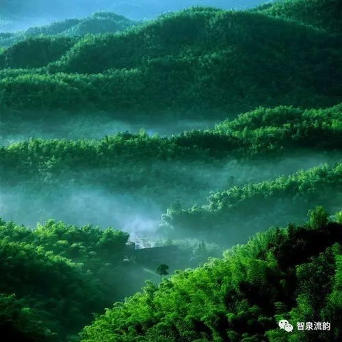 智泉流韵主编郭进拴最新原创散文秋醉大明湖