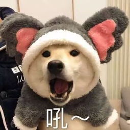1701班学风建设经验浅谈