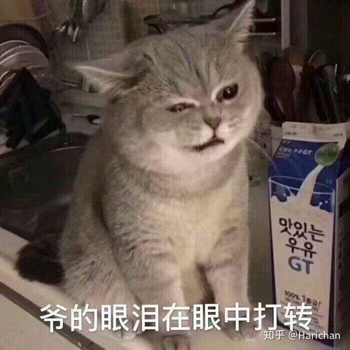 有个神仙弟弟是种什么体验