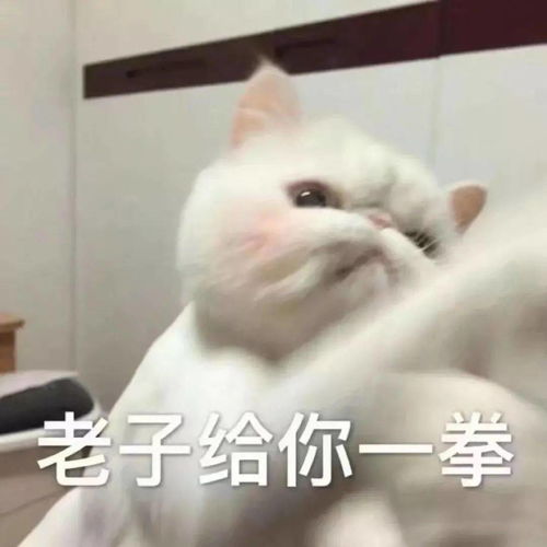 差评最多的5家网红淘宝店铺第2家你绝对买过