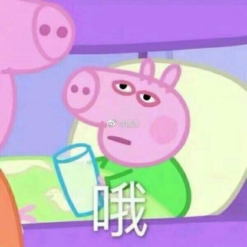 你有什么好用的小猪佩奇表情包