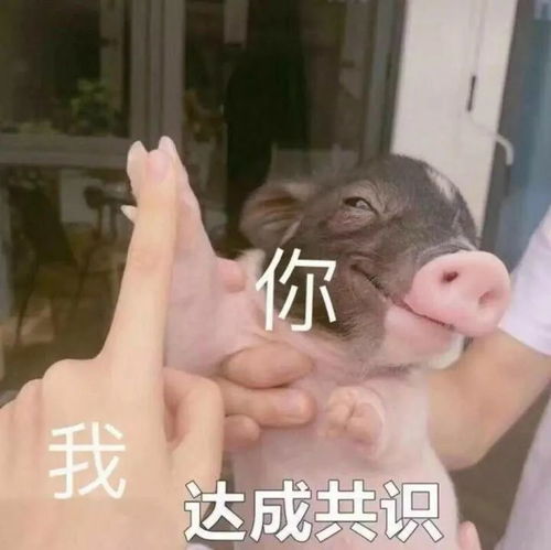 九价疫苗我打了,爱情我来了