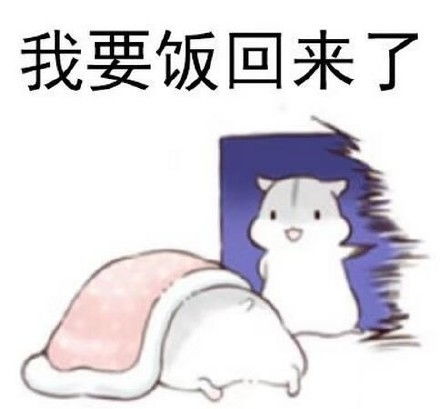 仓鼠要饭表情包