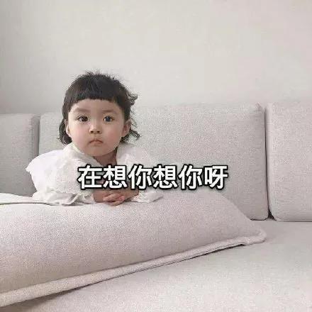 表情包裹紧我的小被子