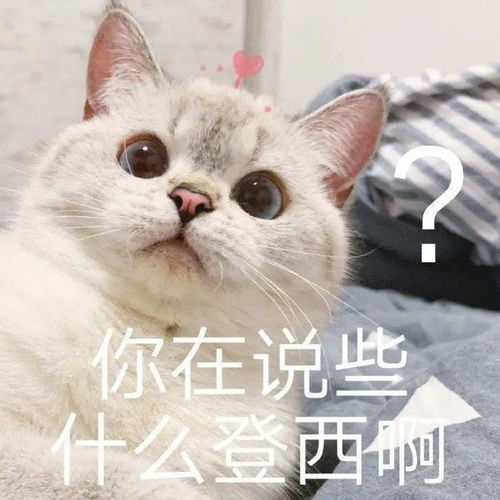 certik干货分享新世界我去匿名干点坏事