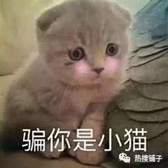 一招教你如何快速拥有所有人都羡慕的小蛮腰