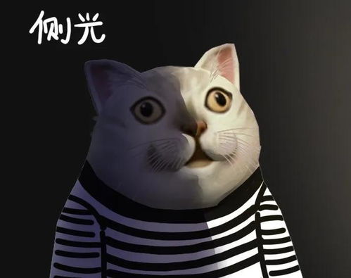 最近经常看到这个喵的表情包,为啥这么火