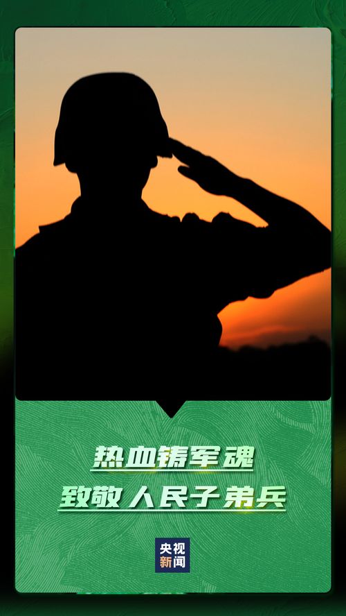 中国军人的表情是怎么回事,关于关于军人的表情包的新消息多特软件资讯
