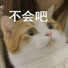 沙雕猫猫表情包