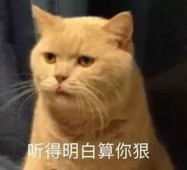 笑疯在东莞什么都不怕,就怕东莞人说普通话快崩溃了